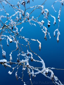 Kuuraa Joensuunjoella, Tyrjä, Parikkala.