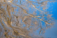 Luonnon maalaus Joensuunjoella, Parikkala.